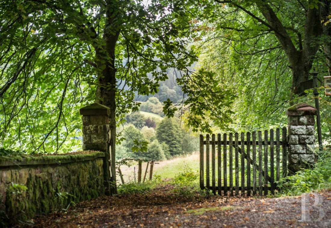 Dans les Vosges du Nord,  un ancien pavillon de chasse du 19e siècle transformé en confortable maison alsacienne traditionnelle - photo  n°22